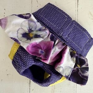 Skirted female dog britches